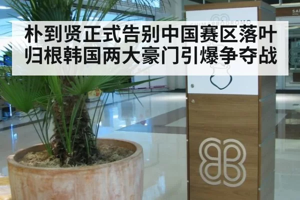 朴到贤正式告别中国赛区落叶归根韩国两大豪门引爆争夺战